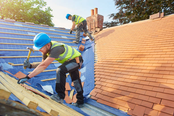Best Solar Panel Roofing Installation  in Soh Willard, UT